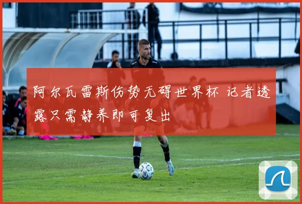 阿尔瓦雷斯伤势无碍世界杯 记者透露只需静养即可复出
