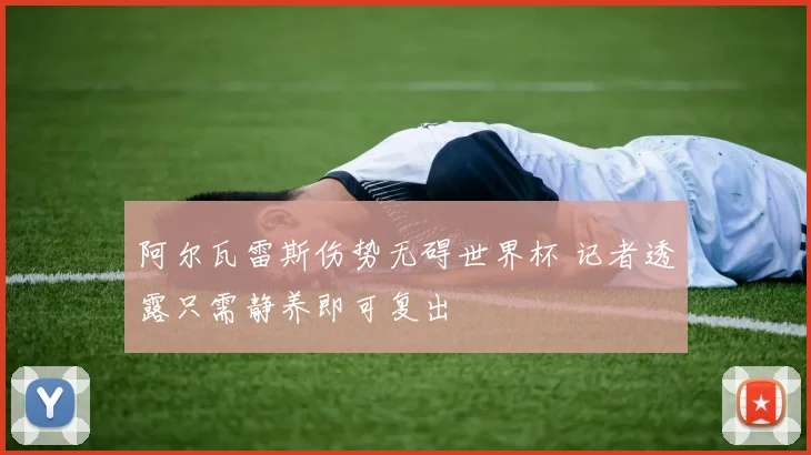 阿尔瓦雷斯伤势无碍世界杯 记者透露只需静养即可复出